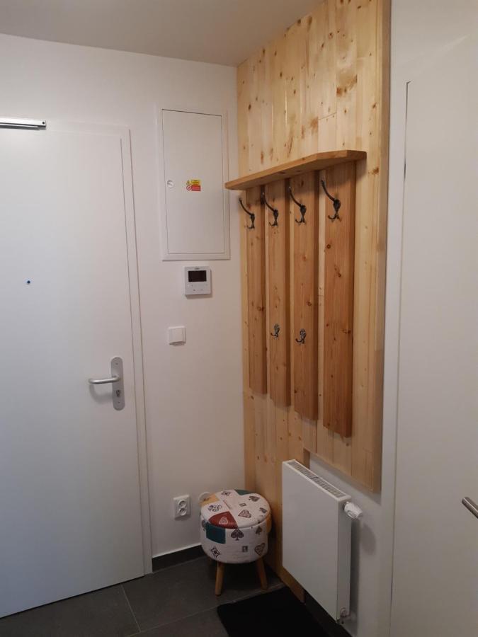 Apartman U Mamuta Dolní Morava 外观 照片